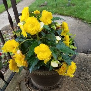 Meet your Posher, Lori